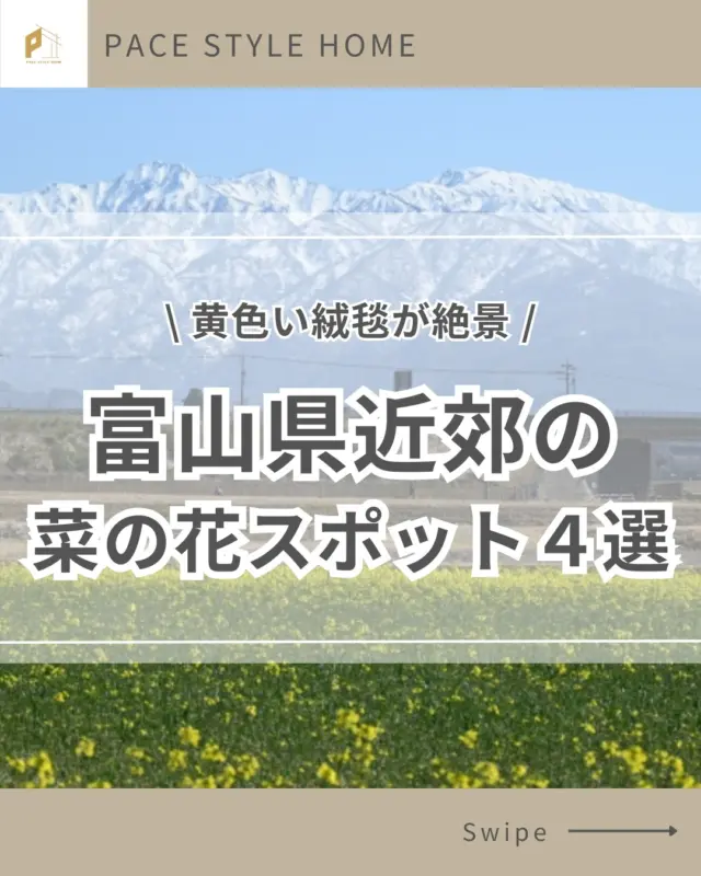 ＊

\ 黄色い絨毯が絶景 / 
富山県近郊にある 菜の花スポット4選

※最新情報は各施設の公式サイト、
またはSNS等でご確認ください。

①あさひ舟川（富山県）
@asahi_tabi 
【住所】富山県下新川郡朝日町舟川新35
【営業時間】終日解放【駐車場】あり

②富山県中央植物園（富山県）
@botanicgardenstoyama_official
【住所】富山市婦中町上轡田42 【駐車場】あり
【営業時間】9:00〜17:00※冬季16:30
【定休日】木曜、年末年始
写真提供： @_____mimosa.619_____さま

③呉羽山公園（富山県）
【住所】 富山県富山市安養坊1北代2-4
【営業時間】終日解放【駐車場】あり
写真提供： @_bibistagram_さま

④菜の花公園（長野県）
【住所】 長野県飯山市大字瑞穂495-1
【営業時間】終日解放【駐車場】あり

─━─━─━─━─━─━─━─━─━─━

このアカウントでは、家づくり情報や
富山県のスポットなどをご紹介しています。

─━─━─━─━─━─━─━─━─━─━

#pacestylehome #パーチェスタイルホーム #富山の魅力 #富山の魅力を伝えたい #富山を盛り上げよう #富山の魅力を伝える富山のハウスメーカー #富山菜の花 #富山の菜の花